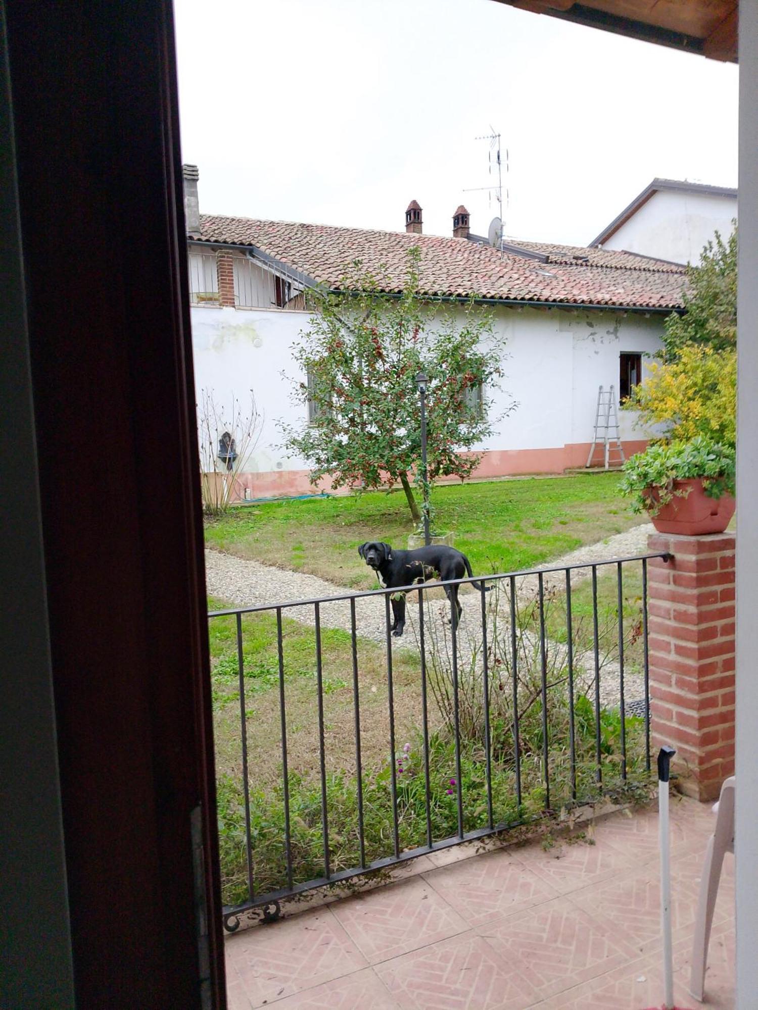 Villa Cascina Trapella Terruggia Exterior foto